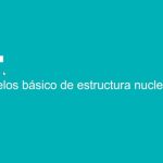 &iquest;Qu&eacute; es la teleterapia en medicina nuclear?