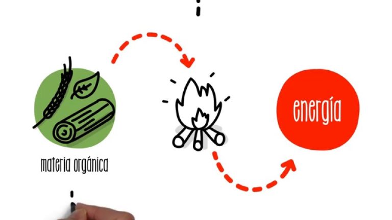 ¿Qué es la producción de biomasa?