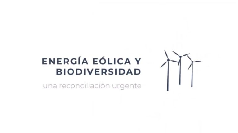 ¿Cuál es el impacto ambiental de una central eólica?