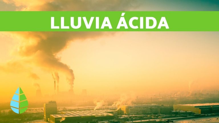 &iquest;Qu&eacute; es la Lluvia &Aacute;cida? Explicaci&oacute;n y Consecuencias para el Medio Ambiente