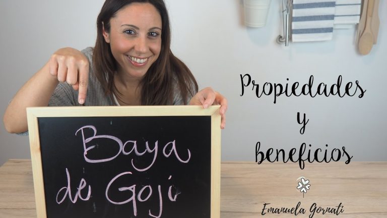 Las Bayas de Goji: D&oacute;nde Comprar, Usos, Beneficios y Contraindicaciones