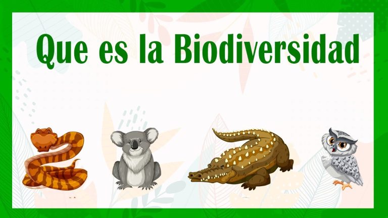 C&oacute;mo la biodiversidad afecta el equilibrio ecol&oacute;gico: los principales factores