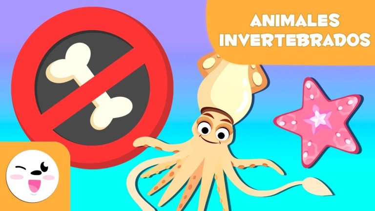 Conoce los 6 principales grupos de Invertebrados: Por&iacute;feros, Celent&eacute;reos, An&eacute;lidos, Moluscos, Equinodermos y Artr&oacute;podos