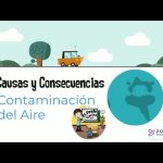 Cómo construir casas de madera desde cero: Guía paso a paso para principiantes