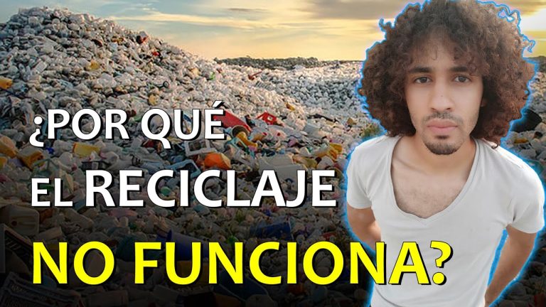 ¿Es cierto que la basura que llega al reciclaje no se recicla? Un análisis de la realidad