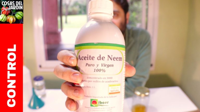Usos del Aceite de Neem como Insecticida para Plantas y Huertos: Beneficios y Consejos