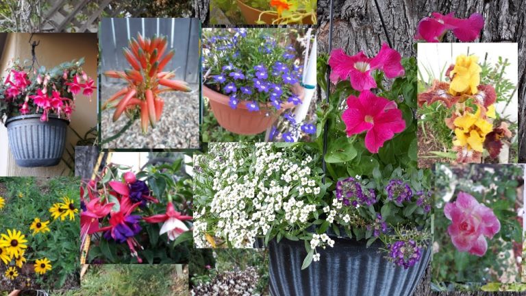 Las 10 mejores flores de primavera para tu jardín