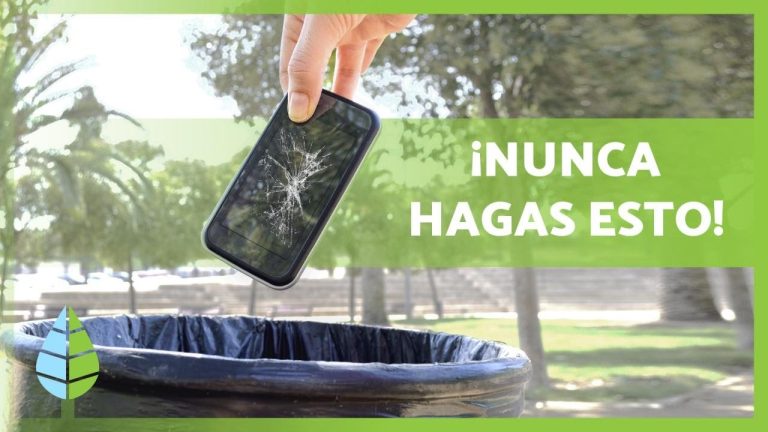 Resuelve tus Dudas sobre el Reciclaje: Conoce los Errores m&aacute;s Comunes
