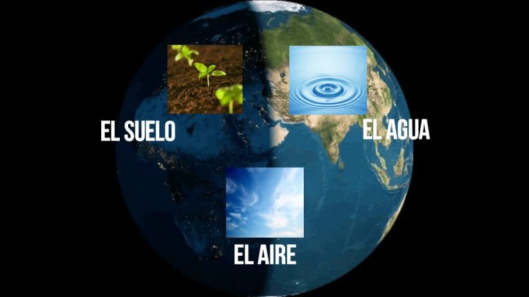 &iquest;Qu&eacute; es la Degradaci&oacute;n y Conservaci&oacute;n del Medio Ambiente? Una Mirada a los Problemas y Soluciones