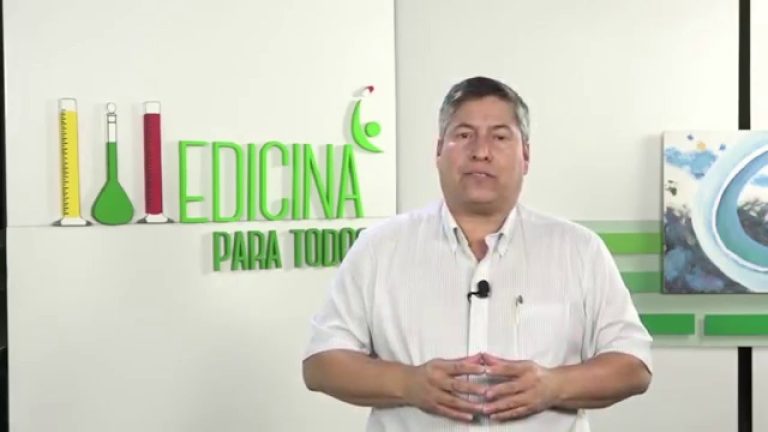 C&oacute;mo tratar y prevenir las picaduras de jejenes: s&iacute;ntomas, tratamiento y remedios caseros