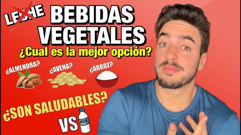 &iquest;Qu&eacute; tipo de leche es m&aacute;s ecol&oacute;gica? Comparativa entre leche de avena y leche de soja