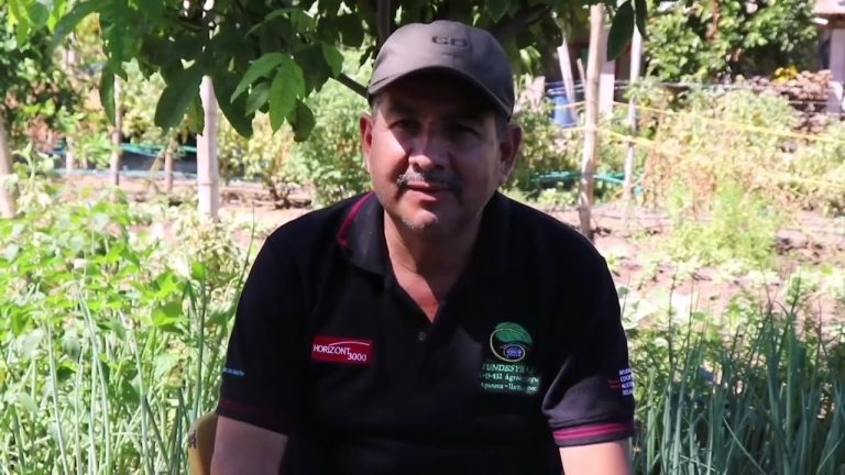 Cómo implementar las Medidas Principales para la Transformación Ecológica de la Agricultura