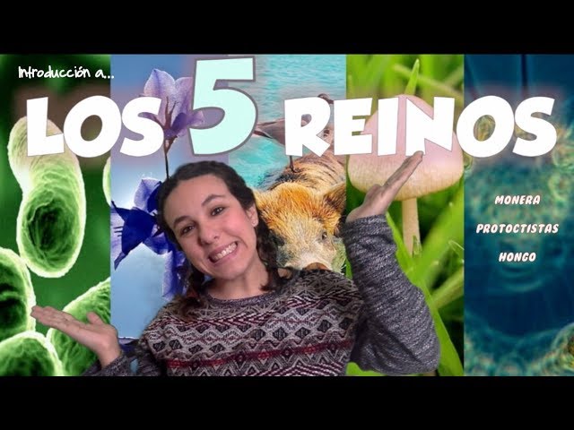 Explorando el Reino de los Seres Vivos: Moneras, Protoctistas, Fungi, Metafitas y Metazoos
